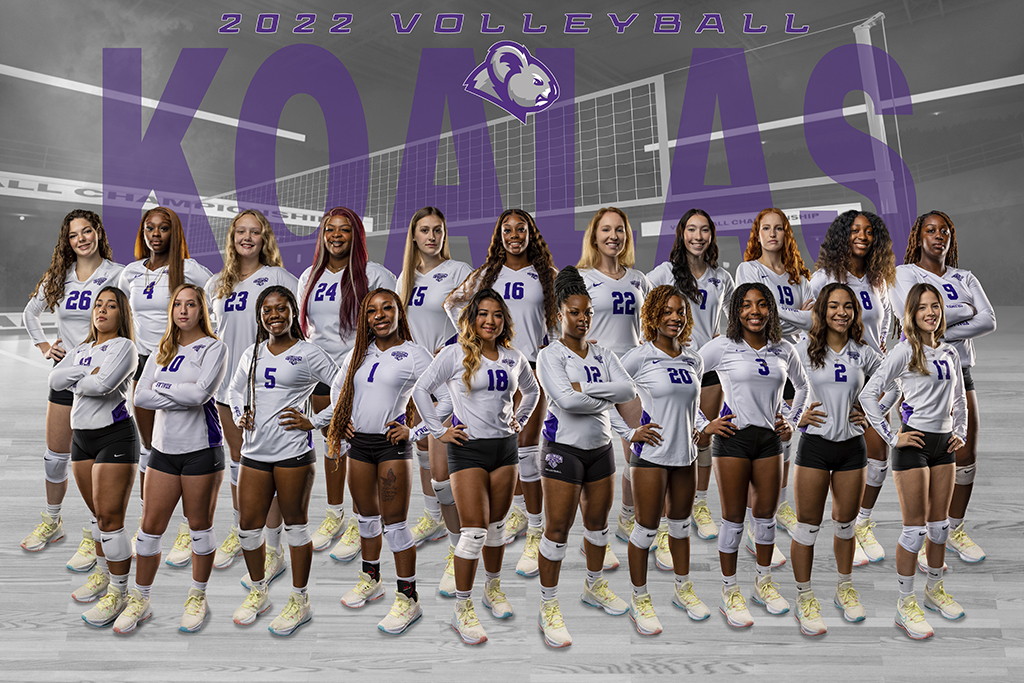 2023 Volleyball Summer Camps