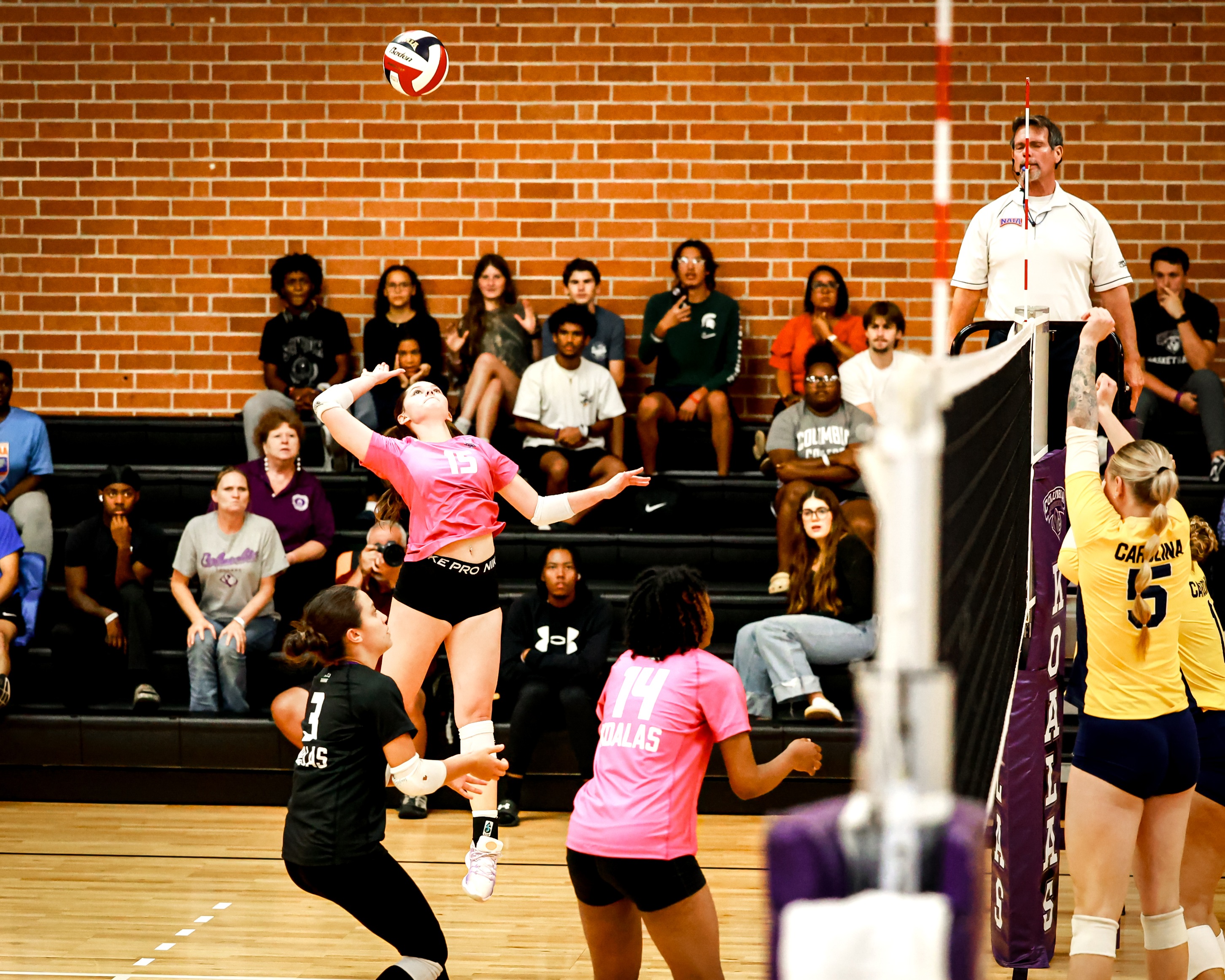 Junior Maranda Bird, courtesy of Hannsen Meneses